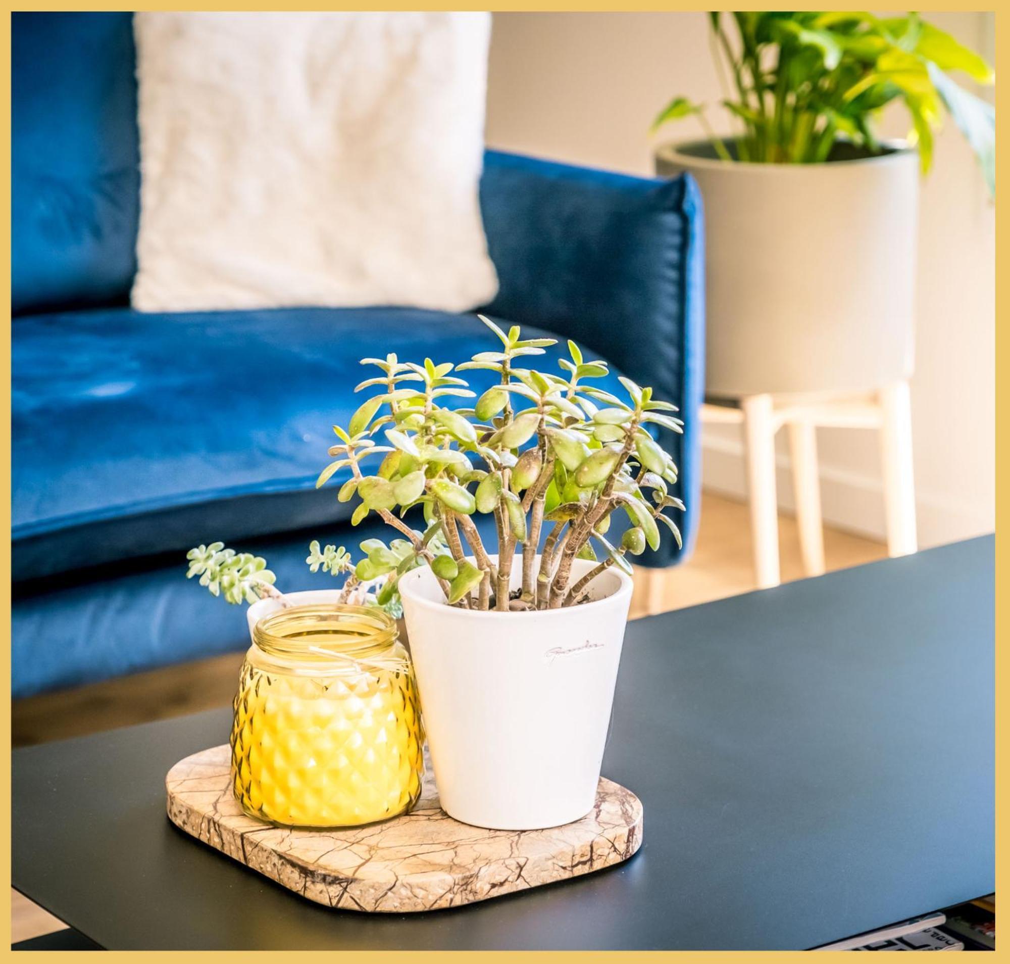 Apartment Luxe I T4 I